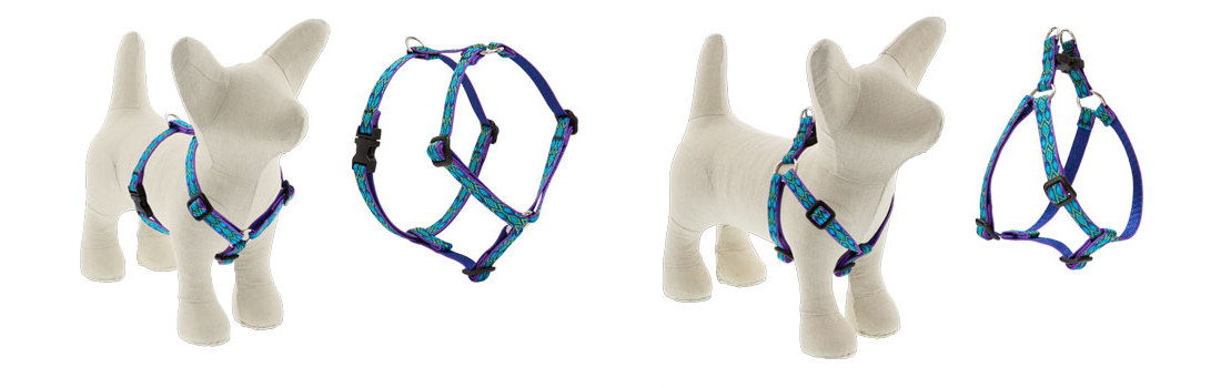 Dog Collars MicroBatch Limited Designs